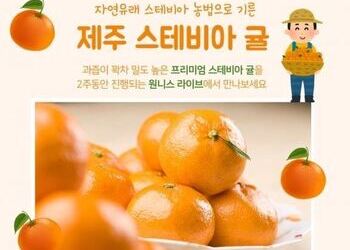 라이브 방송 원니스, 최상급 스테비아 귤 정기 방송 진